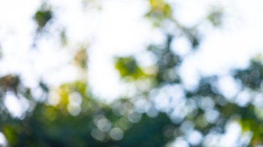 Güneş ışınlarının renk bozulması