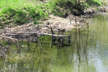 Yaban ördeği suyun yakınındaki tahta köprüde