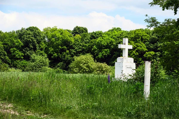 Weißes Christliches Kreuzfeld Waldrand — Stockfoto