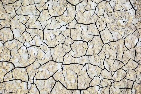 Bela Textura Terra Rachada Após Chuva — Fotografia de Stock