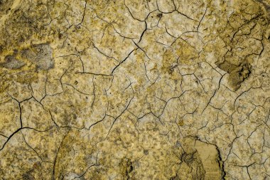 Kırık toprağın güzel dokusu yağmurdan sonra