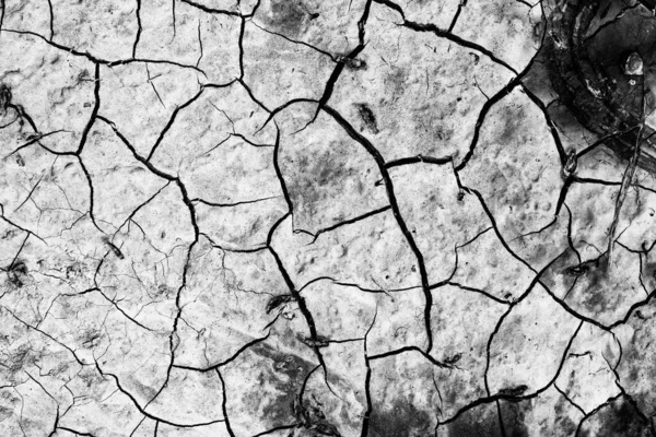 Hermosa Textura Suelo Agrietado Después Lluvia —  Fotos de Stock