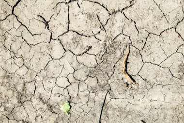 Gri çatlamış toprağın güzel dokusu