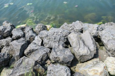 Göletin kıyısındaki suda taşlar.