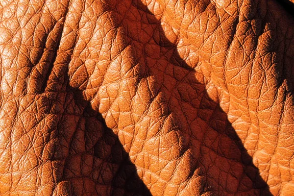 Bolsa Couro Vermelho Das Mulheres Para Coisas — Fotografia de Stock