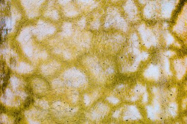 Şiddetli yağmurdan sonra beton duvar