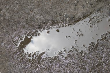 Yağmurdan sonra asfaltta su birikintisi