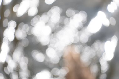 Suyun üzerindeki güneş ışınlarının güzel yansıması.