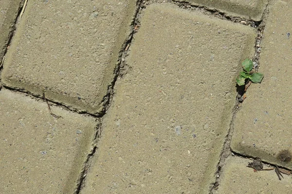 Texture of urban concrete pavement on the sidewalk