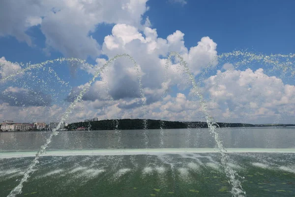 Flowering Water Pond Park Ecological Catastrophe — Stock Photo, Image