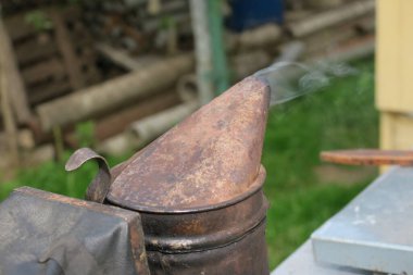 Arı yetiştirme ekipmanları ve araçlar arıda.