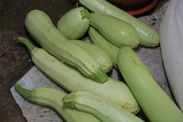 Molti Frutti Zucchine Verdi Giovani Nel Seminterrato — Foto Stock