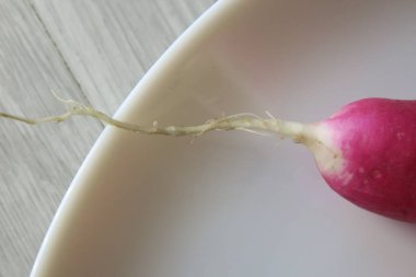 Bir tabakta kırmızı ve beyaz turp meyveleri