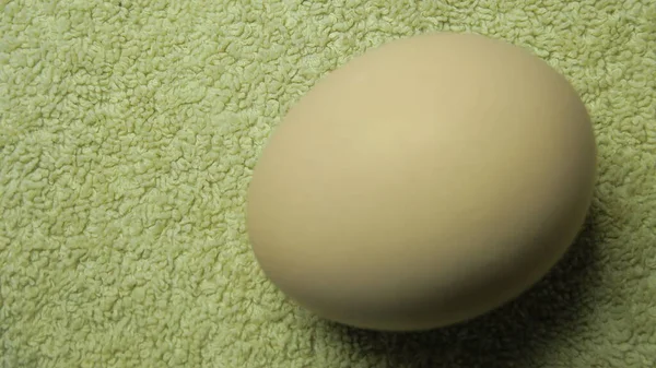 Βραστό Κίτρινο Αυγό Κοτόπουλου Στην Κουζίνα — Φωτογραφία Αρχείου