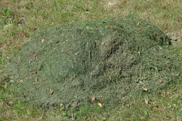 Pile Herbe Verte Sèche Dans Jardin — Photo