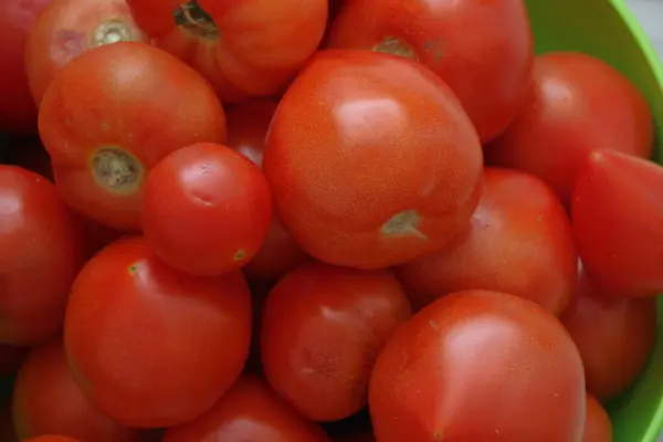 Tomates Vermelhos Deliciosos Uma Tigela — Fotografia de Stock