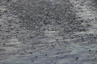 Bir havuz üzerindeki şehir çeşmesinin su jetleri.