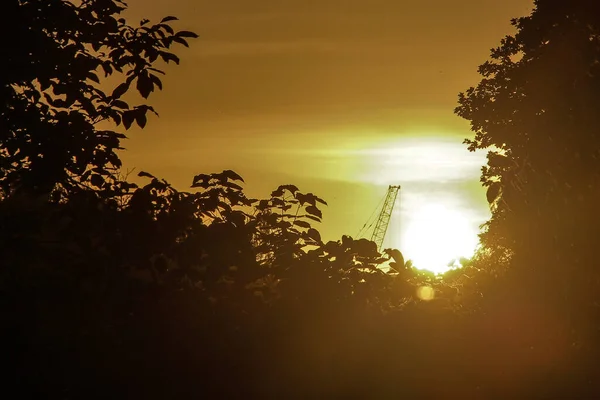 Bellissimo Tramonto Sul Parco — Foto Stock