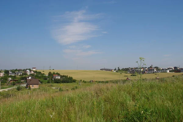 Зеленое Пшеничное Поле Голубое Небо — стоковое фото