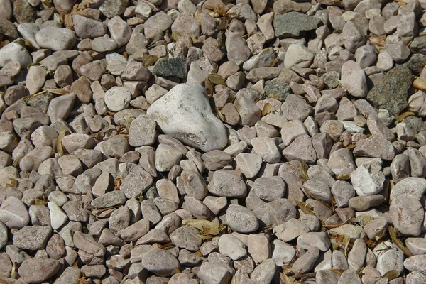 花崗岩の小石の質感 — ストック写真