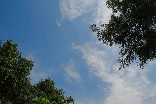 Ciel Bleu Été Par Beau Temps — Photo