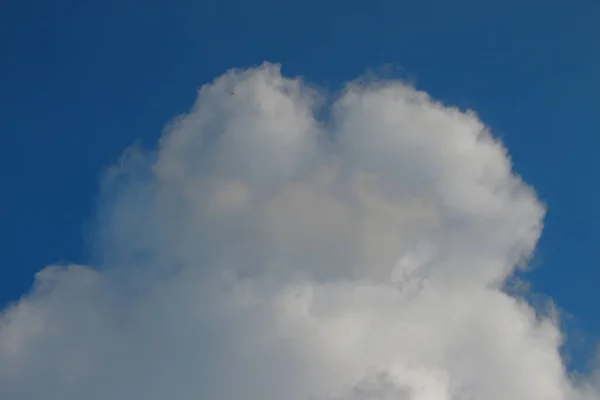 Langit Biru Dalam Cuaca Musim Panas Yang Baik — Stok Foto