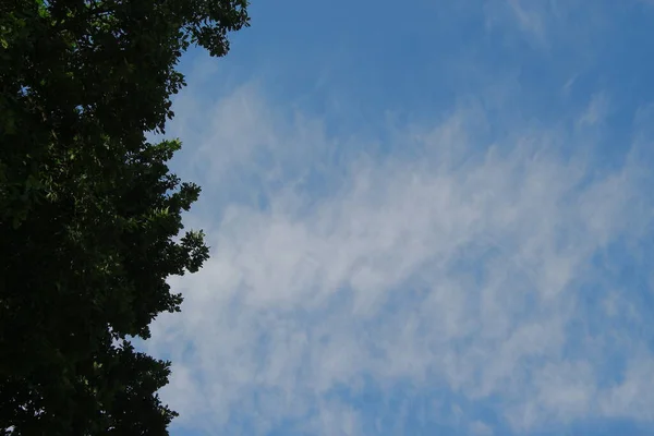 Modrá Obloha Pěkného Letního Počasí — Stock fotografie