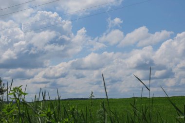Harika yaz havasında mavi gökyüzü ve beyaz bulutlar