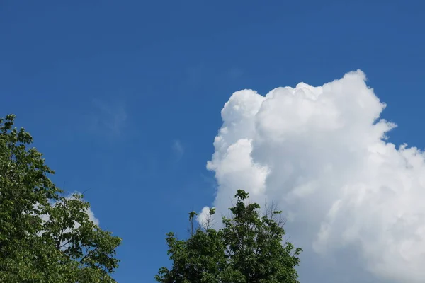 Céu Azul Nuvens Brancas Tempo Verão Maravilhoso — Fotografia de Stock