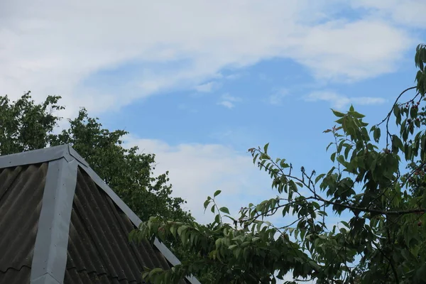 Ciel Bleu Nuages Blancs Par Beau Temps Été — Photo