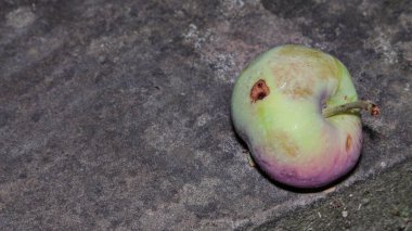 Biraz yeşil, lezzetli bir elma değildir.