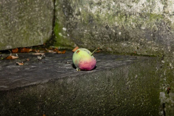 Peu Vert Est Pas Une Pomme Savoureuse — Photo