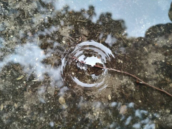 大雨の後の水たまりの泡 — ストック写真