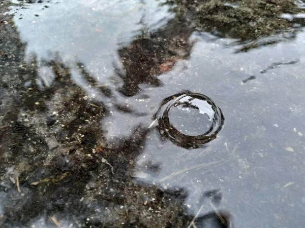 Φυσαλίδες Μια Λακκούβα Μετά Από Δυνατή Βροχή — Φωτογραφία Αρχείου