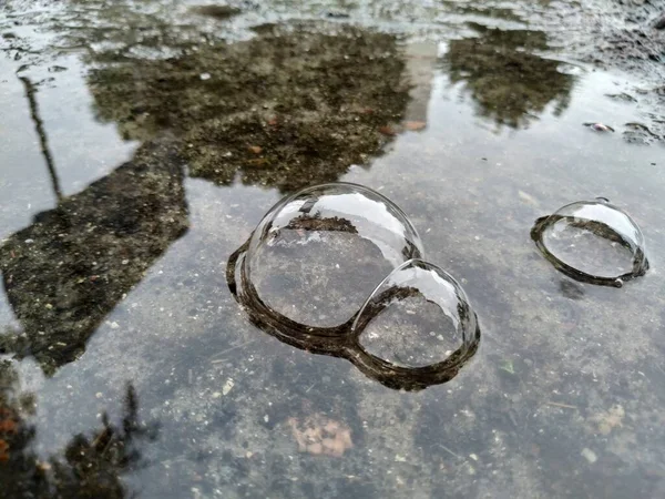大雨の後の水たまりの泡 — ストック写真