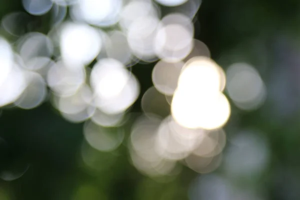 Defocus Sun Rays Background Leaves Garden — Fotografia de Stock