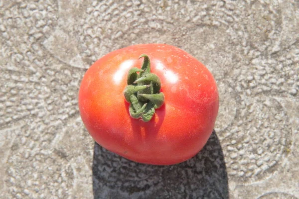 Pyszne Czerwone Domowe Pomidory Ogrodu — Zdjęcie stockowe