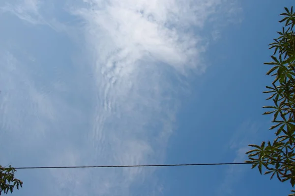 青空を背景にした送電線 — ストック写真
