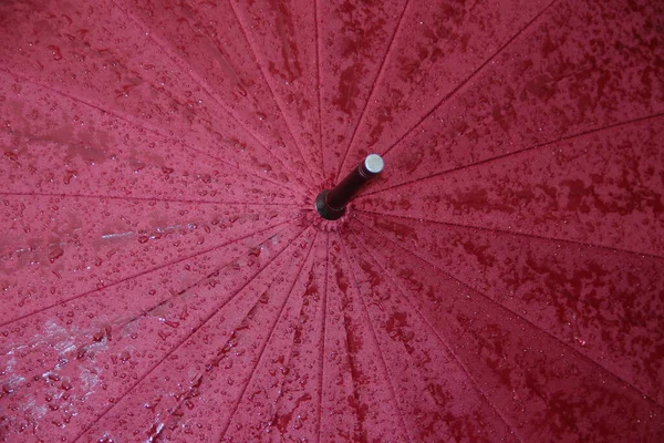 雨后有水滴的红色大伞 — 图库照片