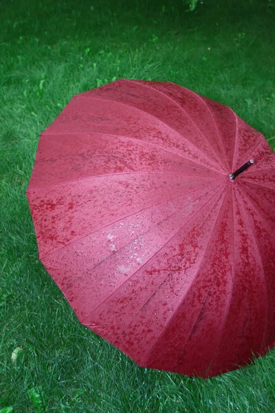 Big Red Umbrella Drops Water Rain — Stock Photo, Image