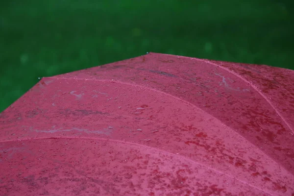 Big red umbrella with drops of water after the rain