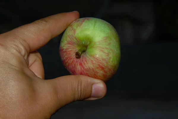 Gröna Äpplen Trädgården Efter Regnet — Stockfoto