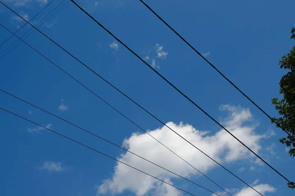 Cavi Linee Elettriche Sul Palo — Foto Stock