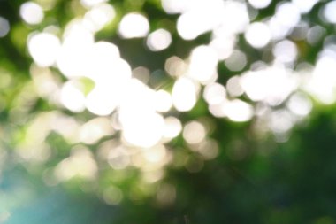 Arkaplanda yeşil elma yapraklarının üzerine çoklu renkli güneş ışınları.