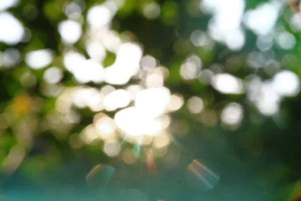 Rayos Sol Multicolores Desenfoque Sobre Fondo Hojas Manzana Verde —  Fotos de Stock