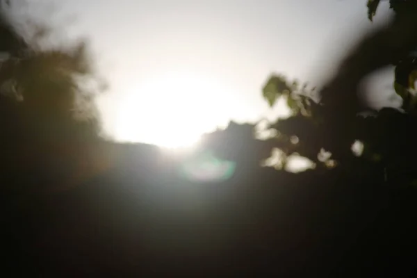 Rayos Sol Multicolores Desenfoque Sobre Fondo Hojas Manzana Verde —  Fotos de Stock