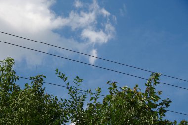 Güzel bulutlar ve açık bir yaz gününde gökyüzü