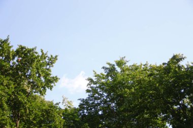 Güzel bulutlar ve açık bir yaz gününde gökyüzü