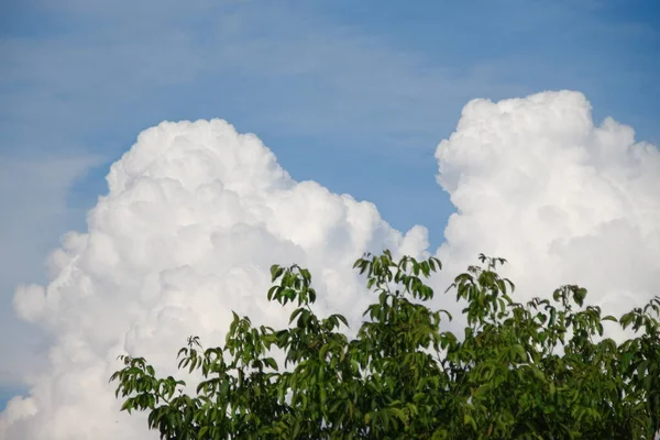 Lindas Nuvens Céu Dia Claro Verão — Fotografia de Stock