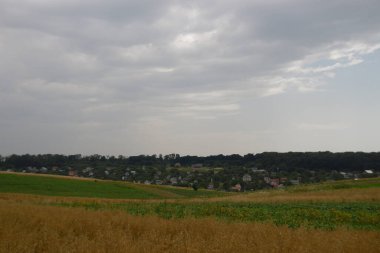 Ormanın yakınındaki buğday tarlası ve tepeler